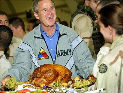 Bush Turkey.jpg